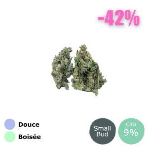 Cannatonic SB