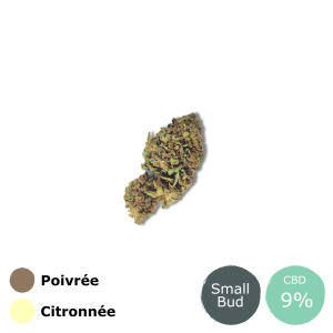 Ak-47 SB